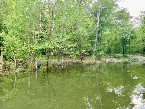 A quiet cove doubled in the still water