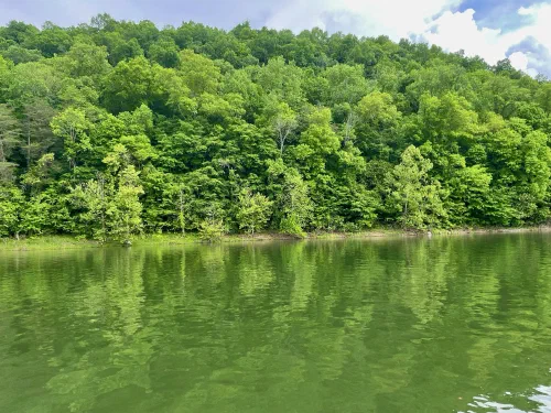 The quiet hills rest softly on the lake