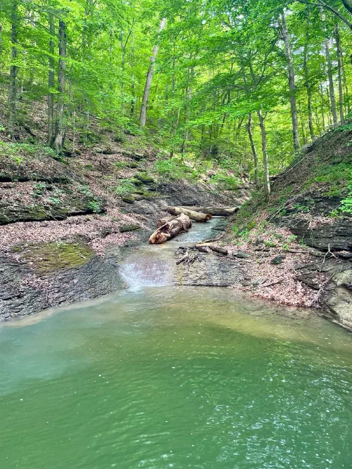 A secret waterfall tucked in the Cumberland woods