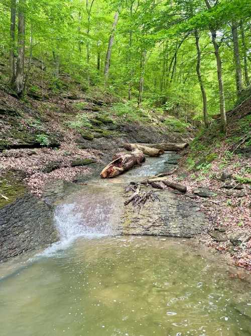 A small cascade tumbling into a rocky basin